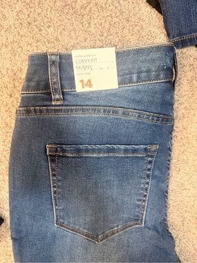 Lane Bryant Curvy Fit High-Rise Skinny Jeans - Blue Wash